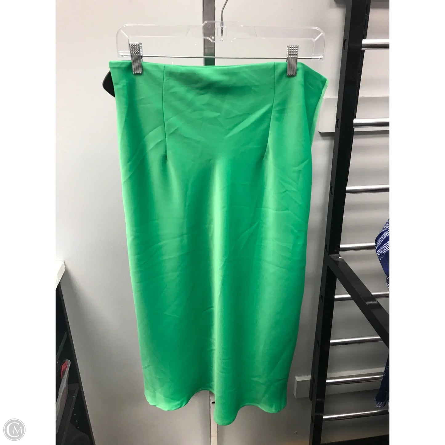Skirt Midi By Rachel Zoe In Green, Size: 10