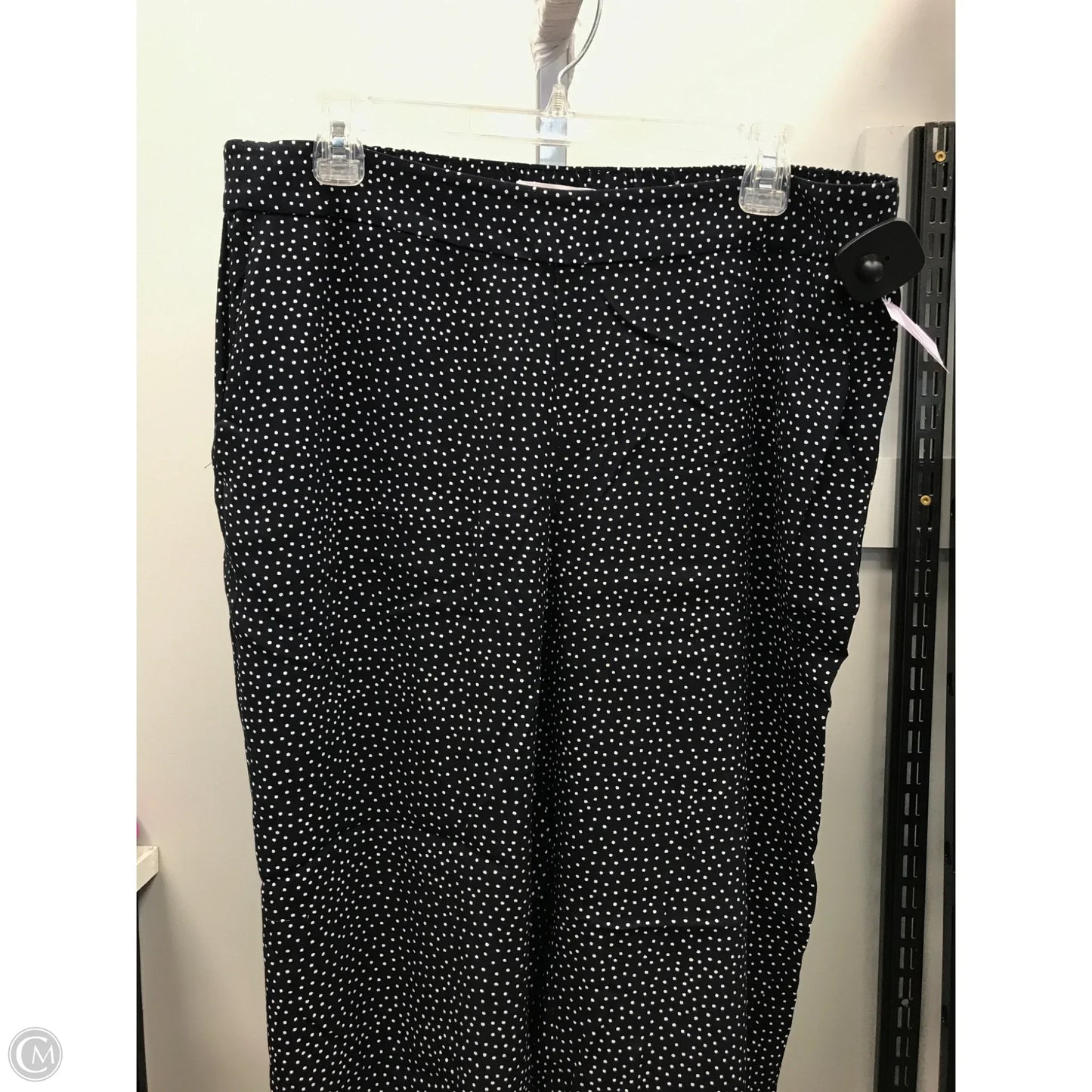 Pants Other By Loft In Polkadot Pattern, Size: L