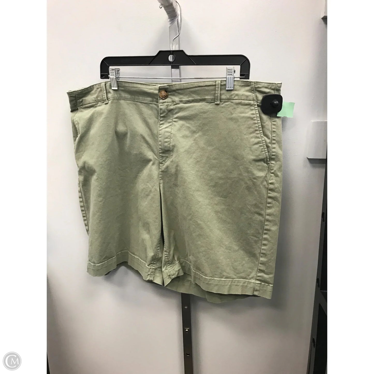 Shorts By Loft In Green, Size: 18