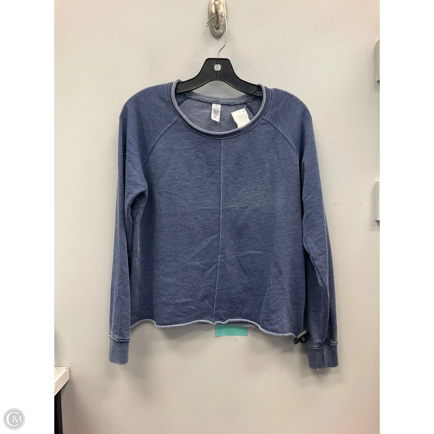 Top Long Sleeve By Alternative In Blue, Size: M