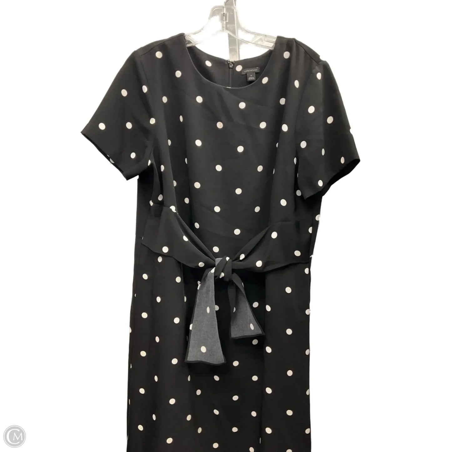 Dress Casual Short By Ann Taylor In Polkadot Pattern, Size: 14