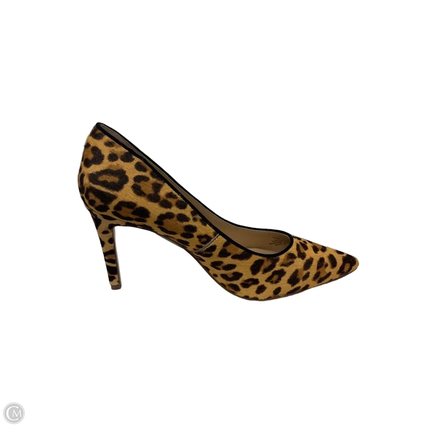Shoes Heels Stiletto By Jessica Simpson In Leopard Print, Size: 7
