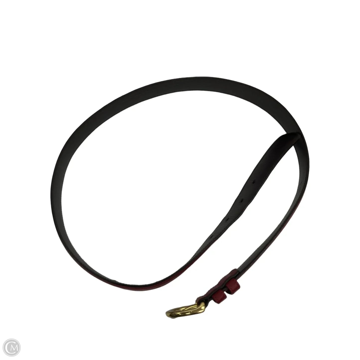 Belt Designer By Coach, Size: Large