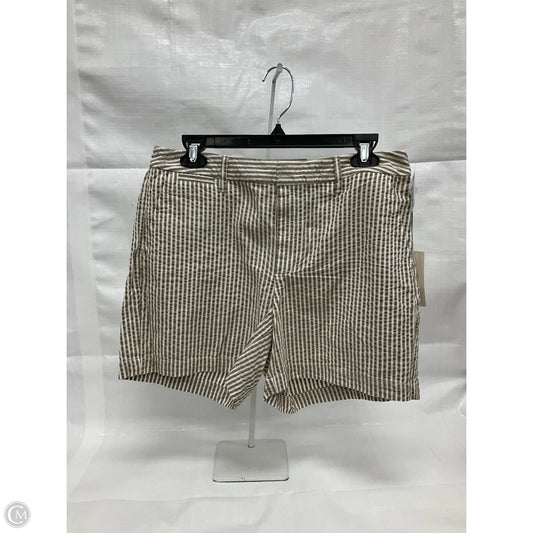 Shorts By A New Day In Brown, Size: 8