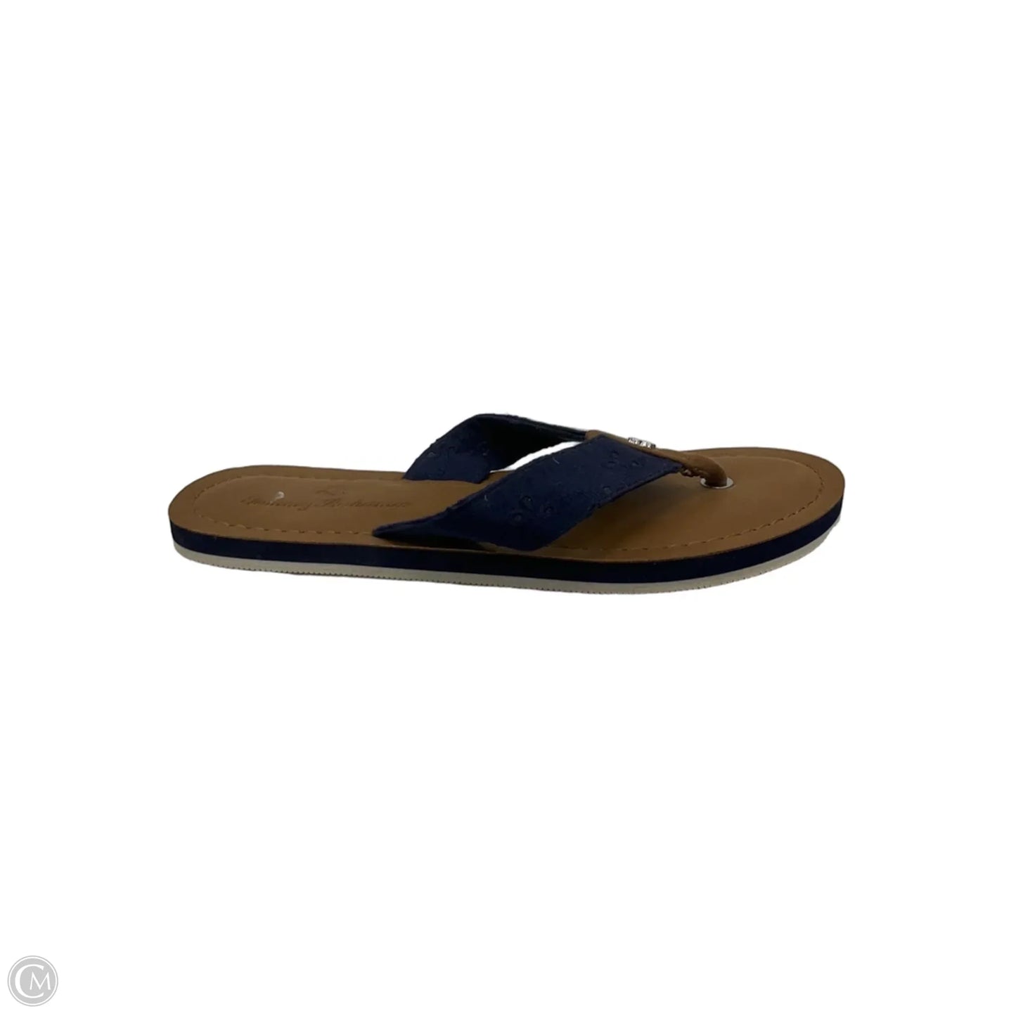 Sandals Flip Flops By Tommy Bahama In Blue & Brown, Size: 6