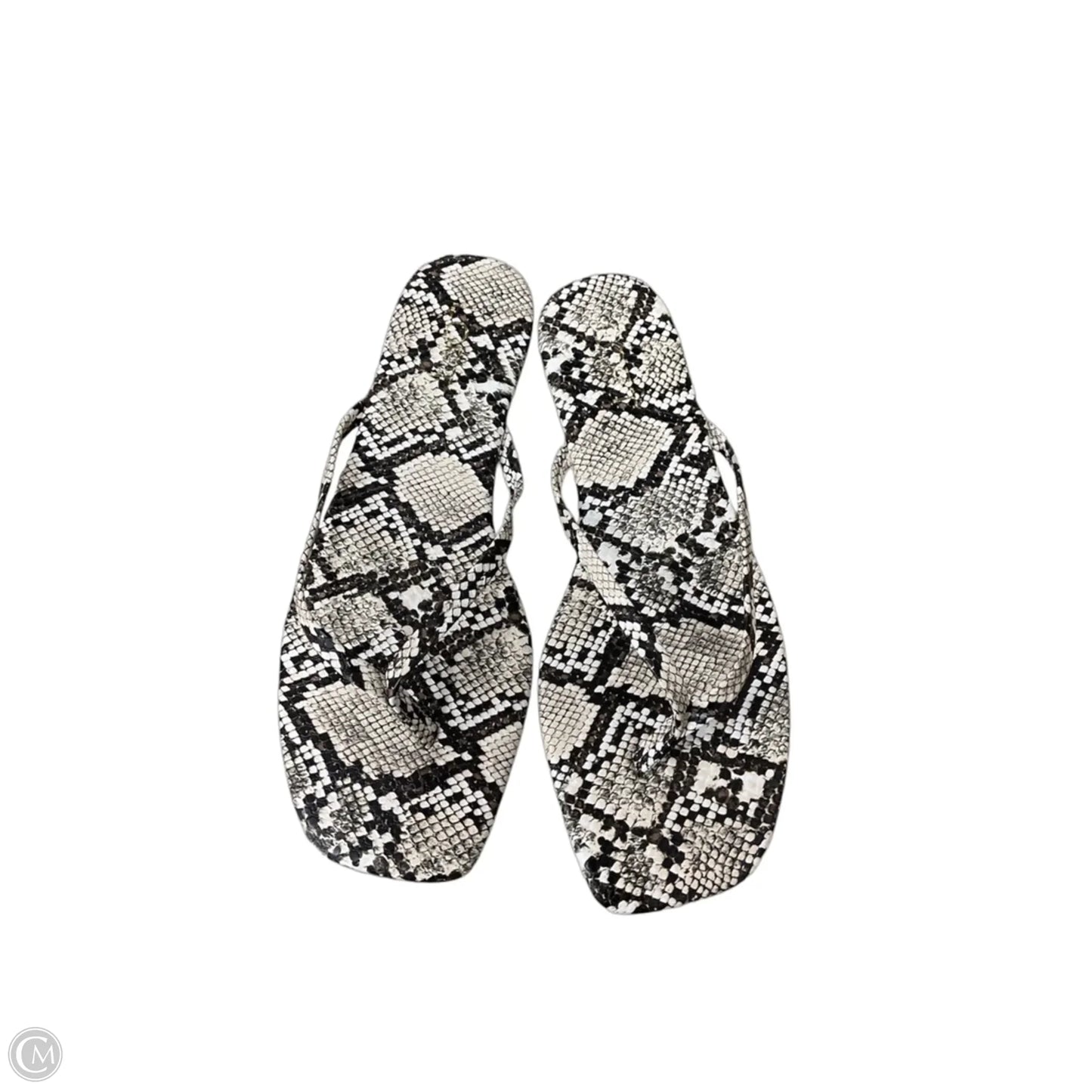 Sandals Flip Flops By Loft In Snakeskin Print, Size: 9