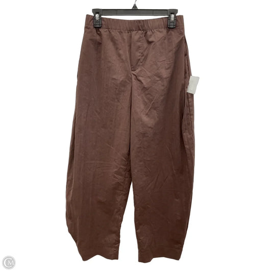 Pants Other By Zara In Maroon, Size: M