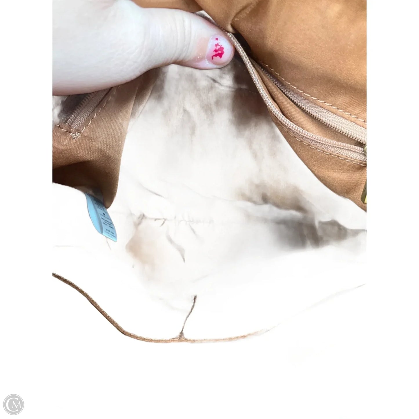 Backpack By Fossil, Size: Medium