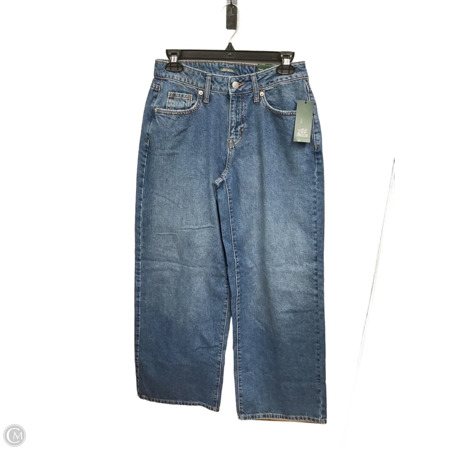 Jeans Wide Leg By Wild Fable In Blue Denim, Size: 2