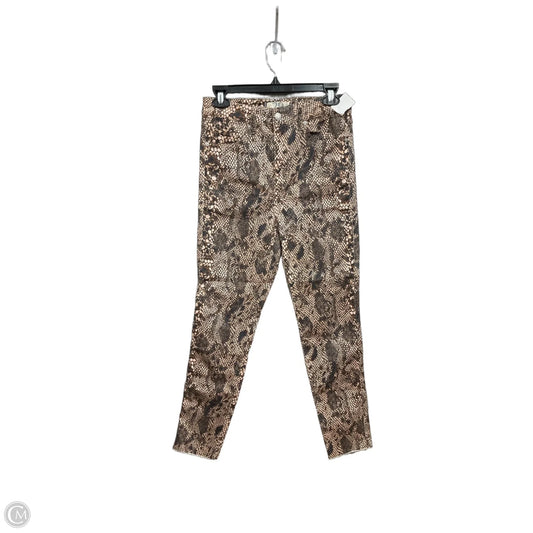 Pants Other By We The Free In Animal Print, Size: 8