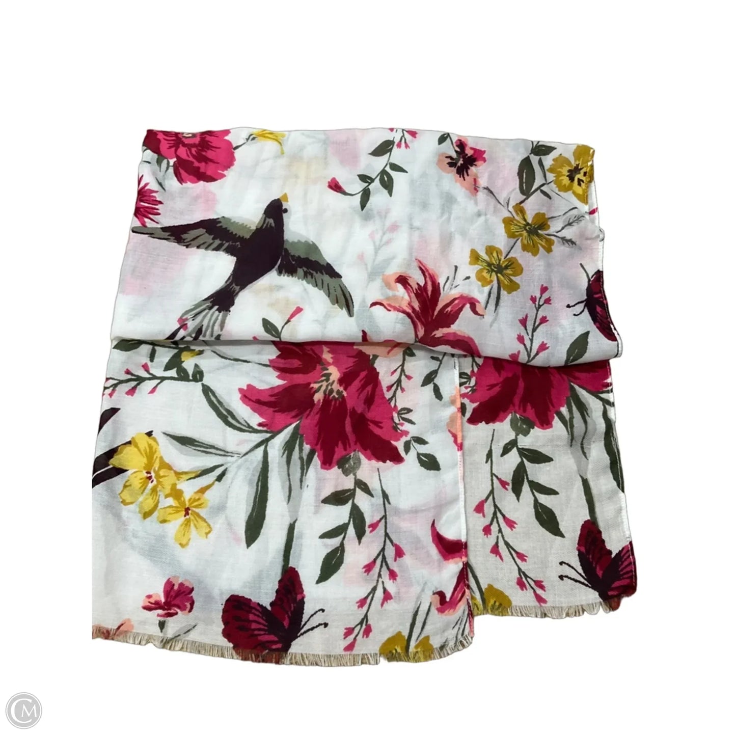 Scarf Long By Clothes Mentor