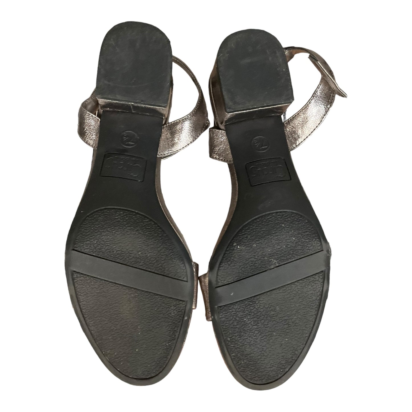 Silver Shoes Heels Block Sam Edelman, Size 7.5