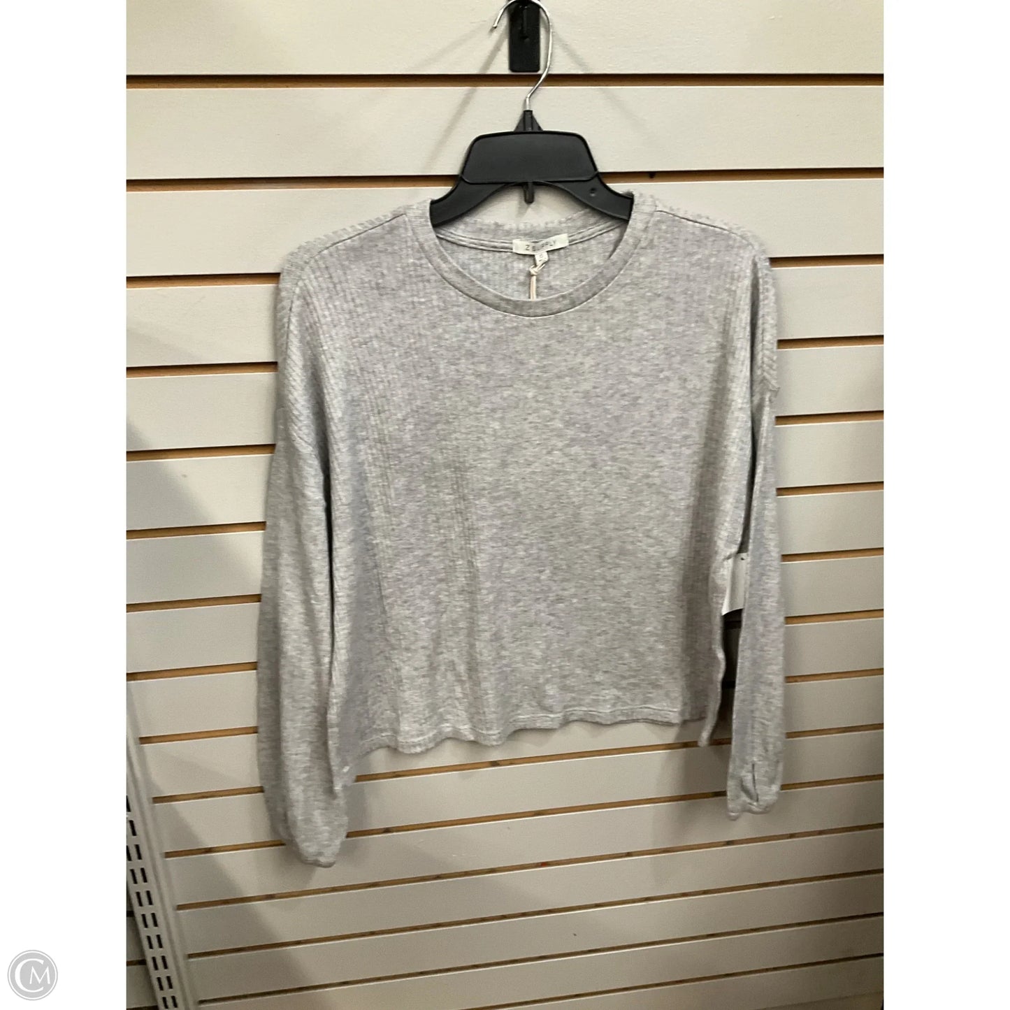 Top Long Sleeve By Z Supply In Grey, Size: Xs