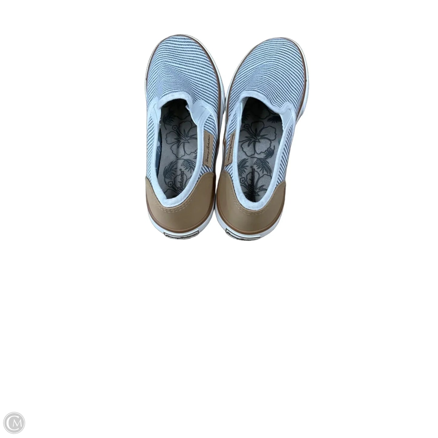 Shoes Sneakers By Tommy Bahama In Striped Pattern, Size: 6