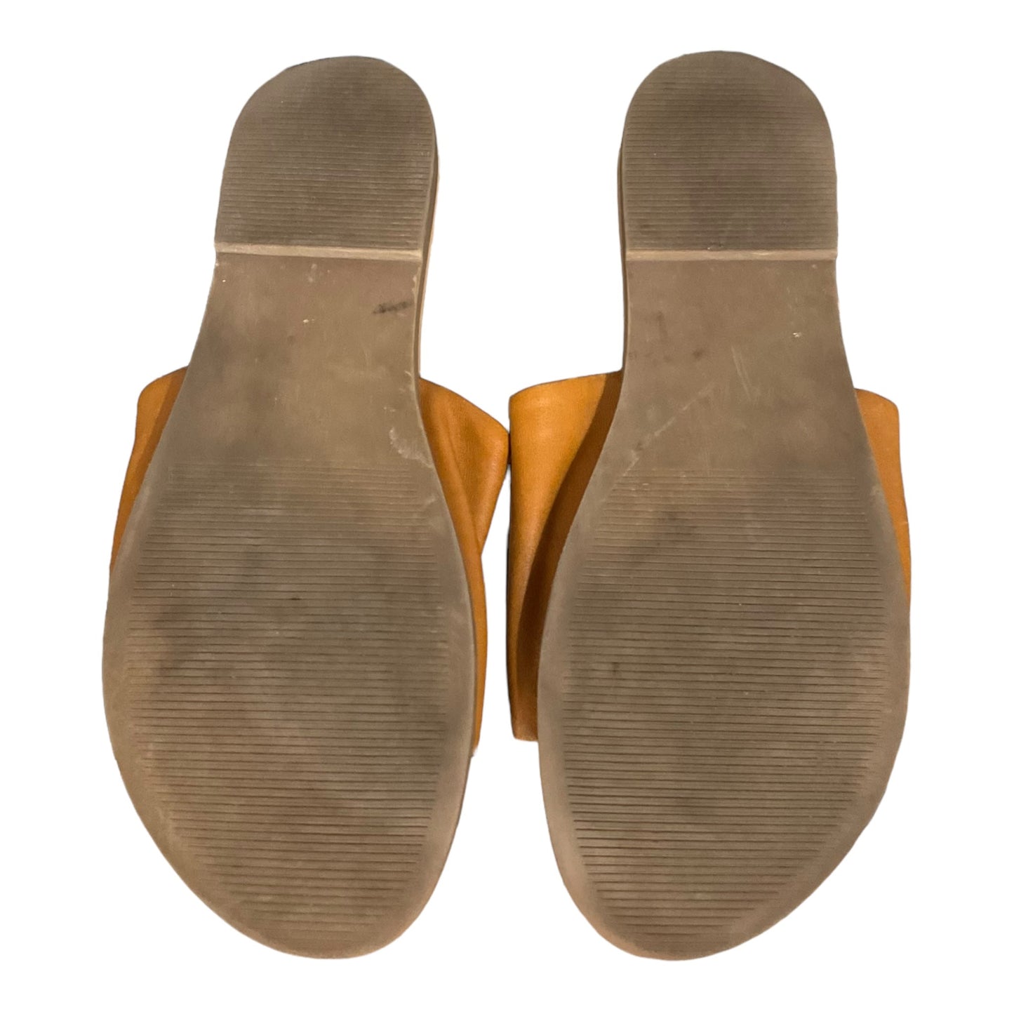 Tan Shoes Flats Steve Madden, Size 8.5