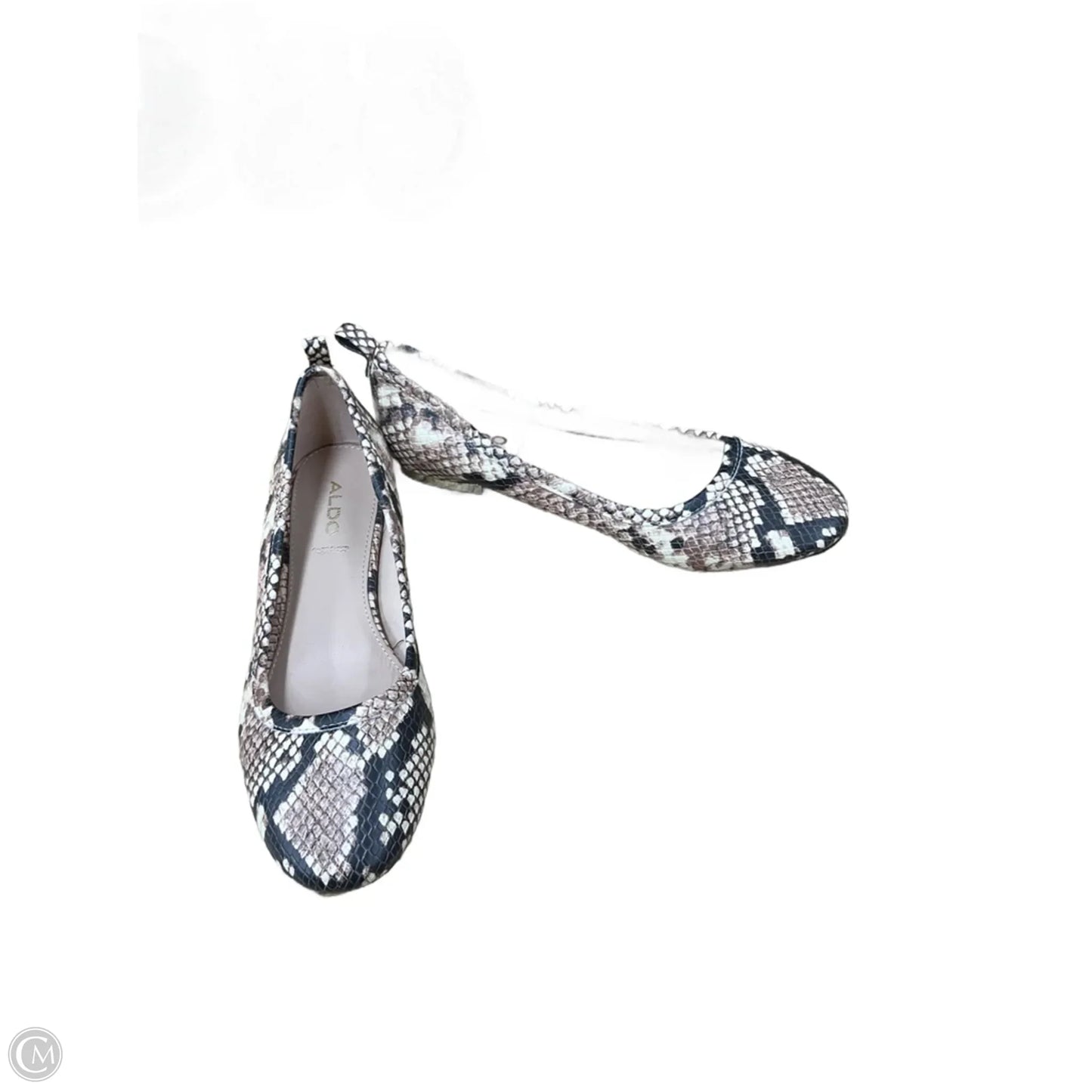 Shoes Flats By Aldo In Animal Print, Size: 6.5