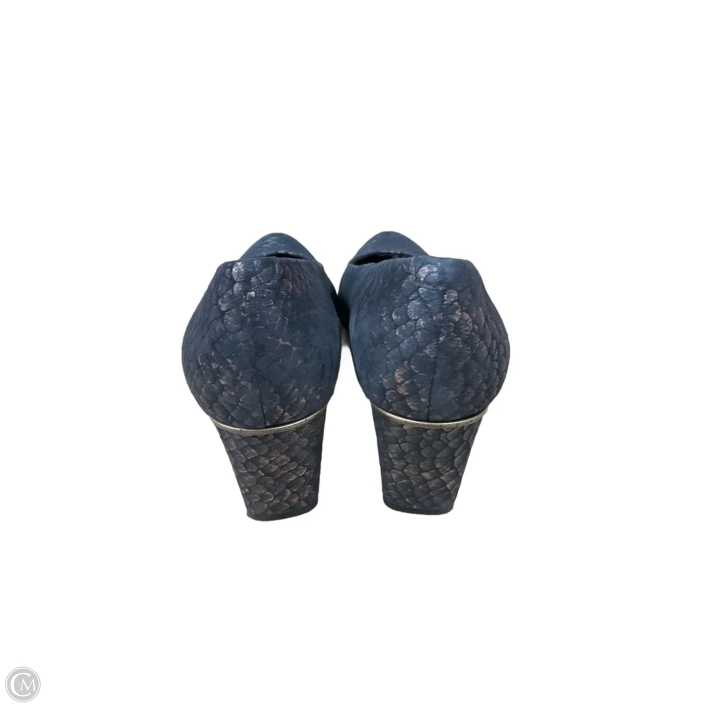 Shoes Heels Kitten By Vaneli In Snakeskin Print, Size: 11