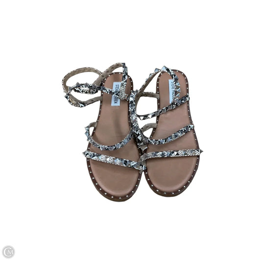 Sandals Flats By Steve Madden In Snakeskin Print, Size: 7.5