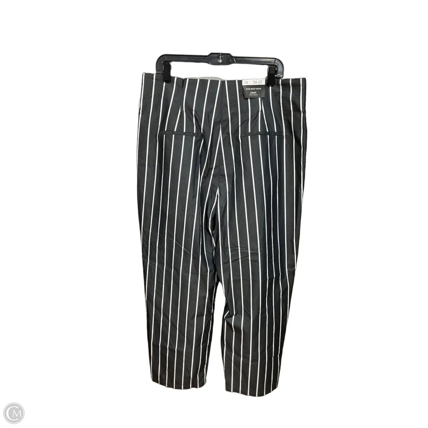 Pants Cropped By Who What Wear In Striped Pattern, Size: 16