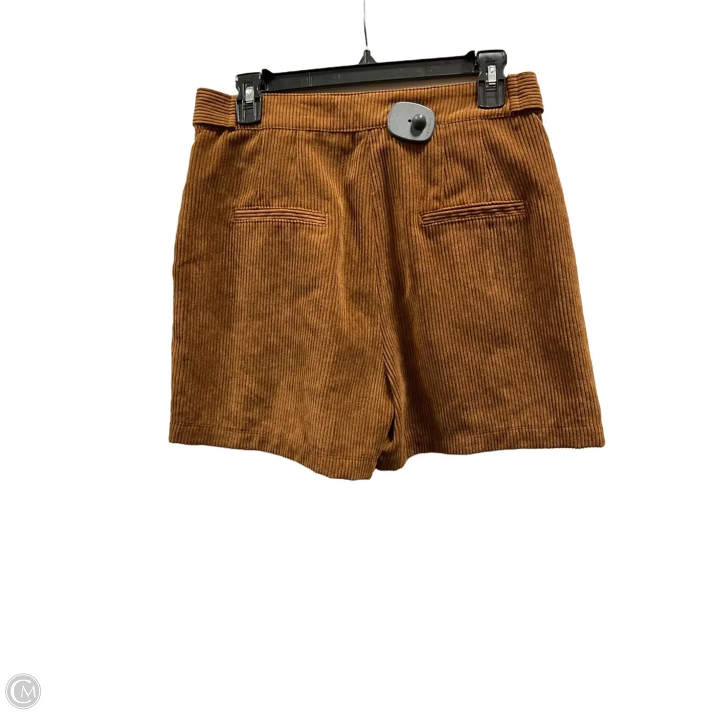 Shorts By Zara Basic In Brown, Size: M