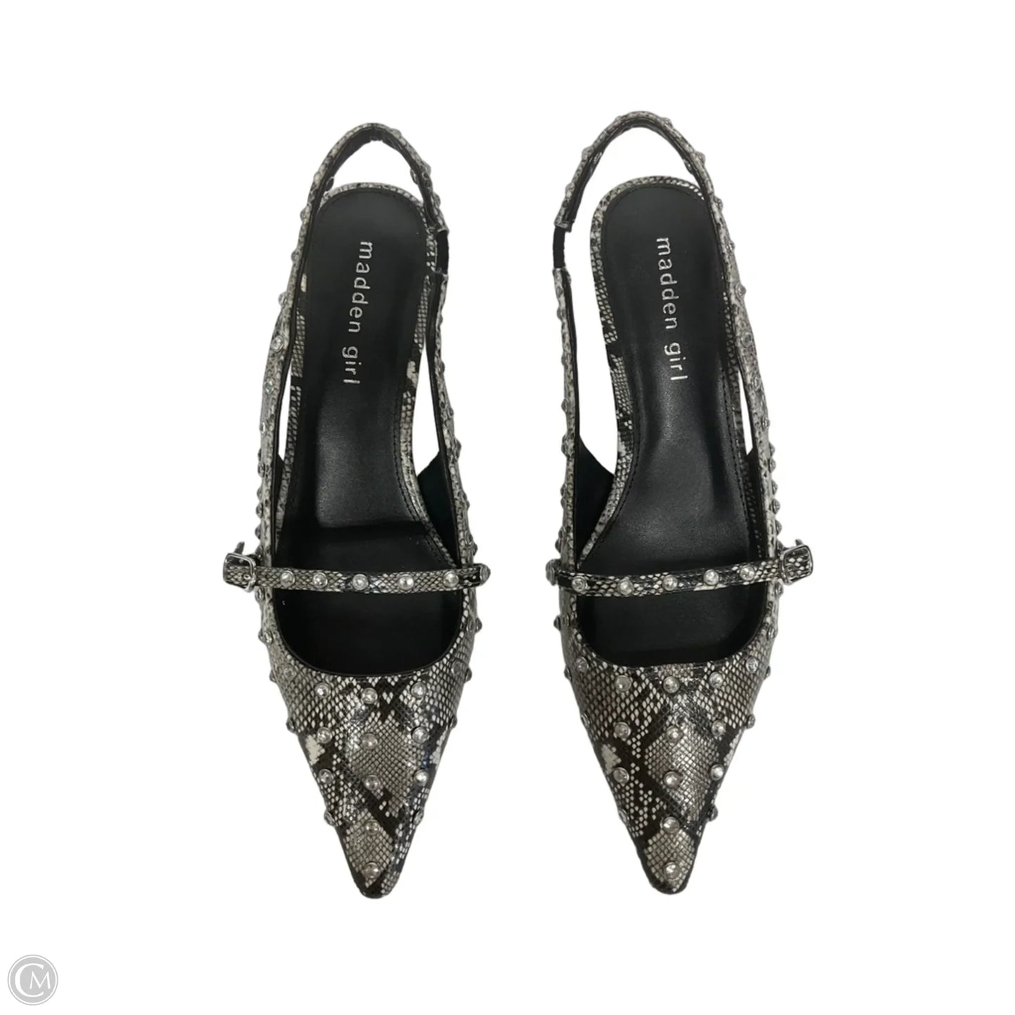 Shoes Heels Kitten By Madden Girl In Animal Print, Size: 6