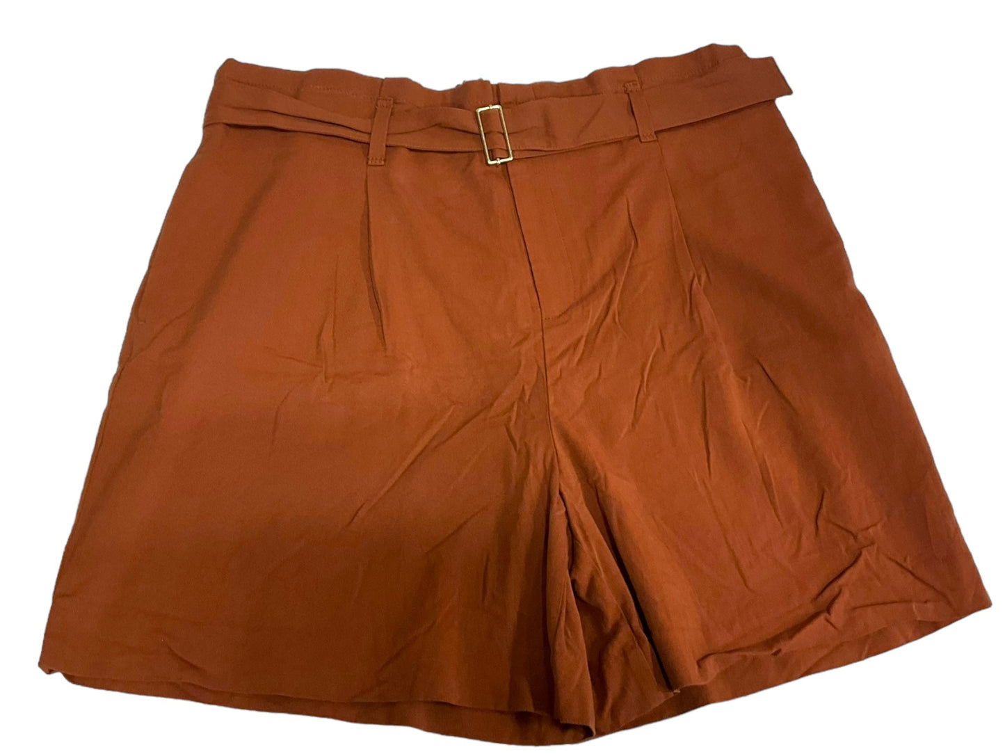 Orange Shorts Ann Taylor, Size 14