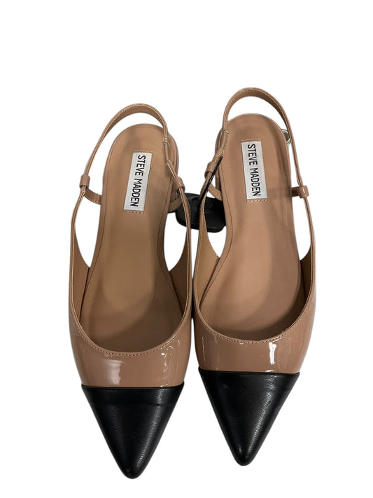 Shoes Flats By Steve Madden In Black & Tan, Size: 7.5