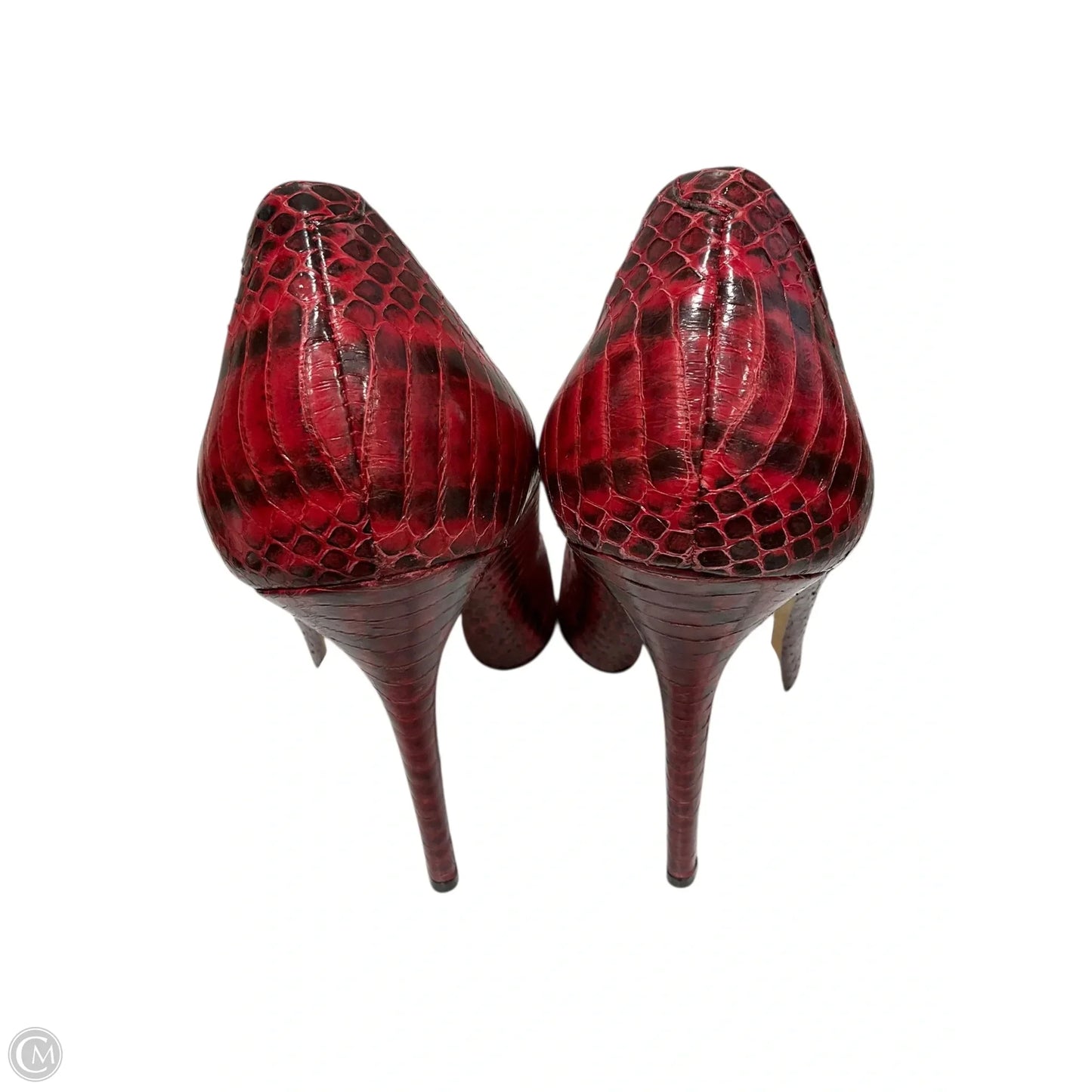 Shoes Luxury Designer By Jimmy Choo In Snakeskin Print, Size: 8