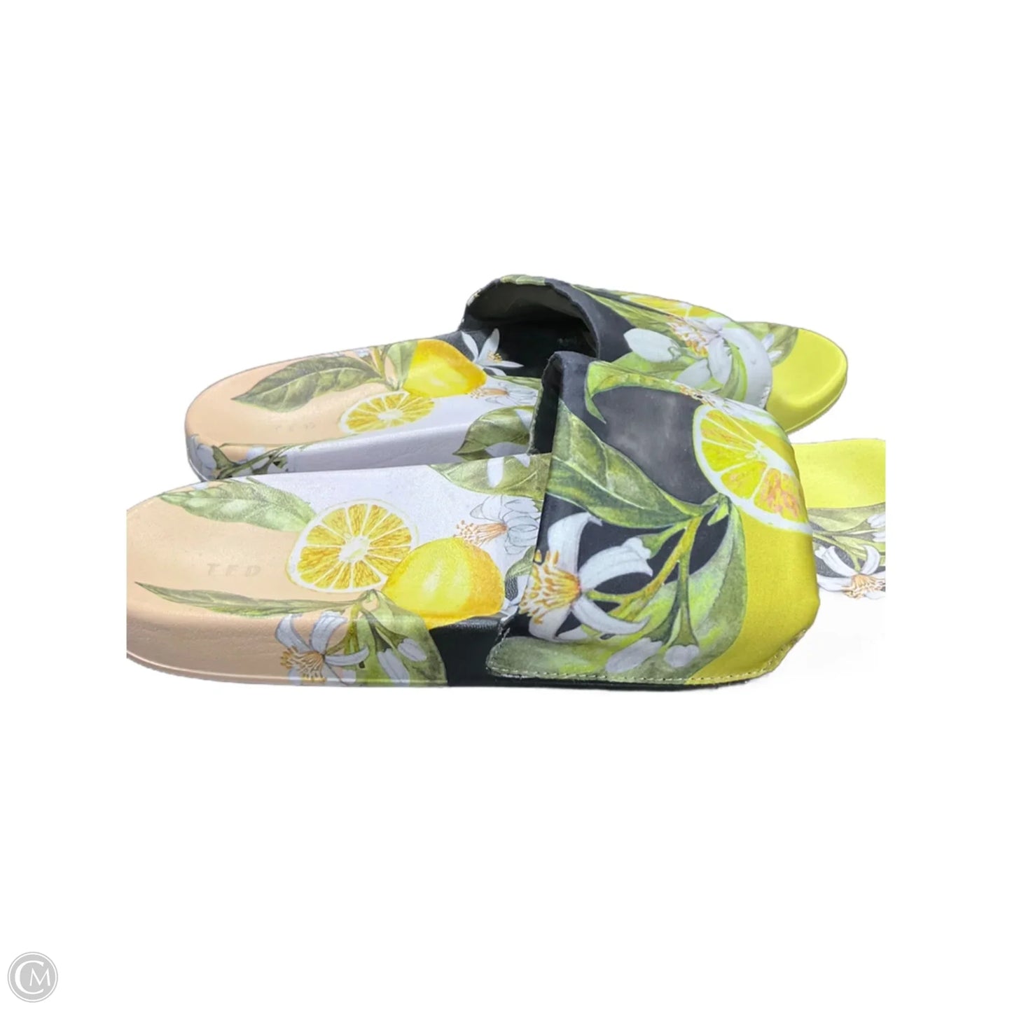 Sandals Flats By Ted Baker In Black & Yellow, Size: 9