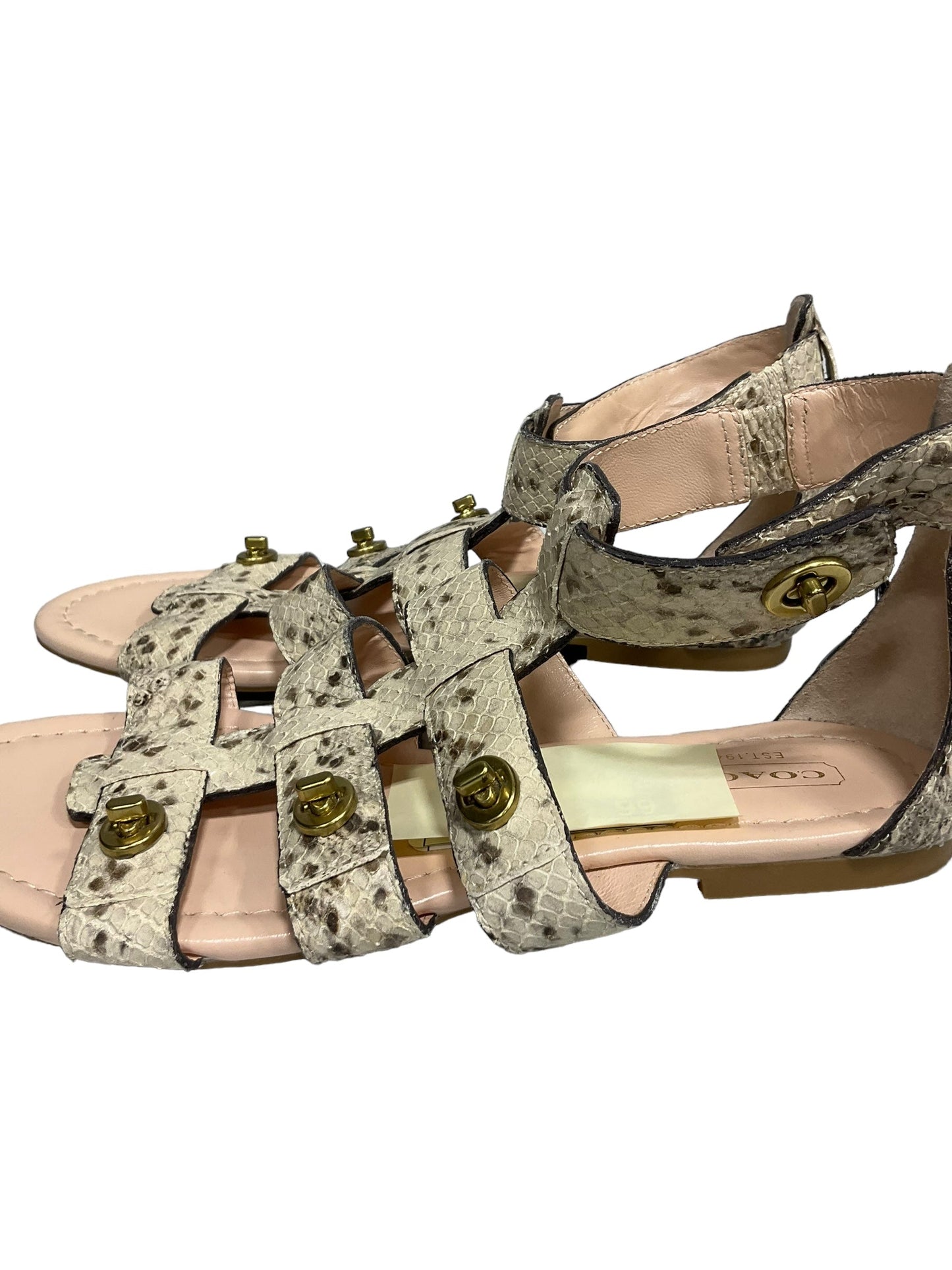 Snakeskin Print Sandals Flats Coach, Size 6