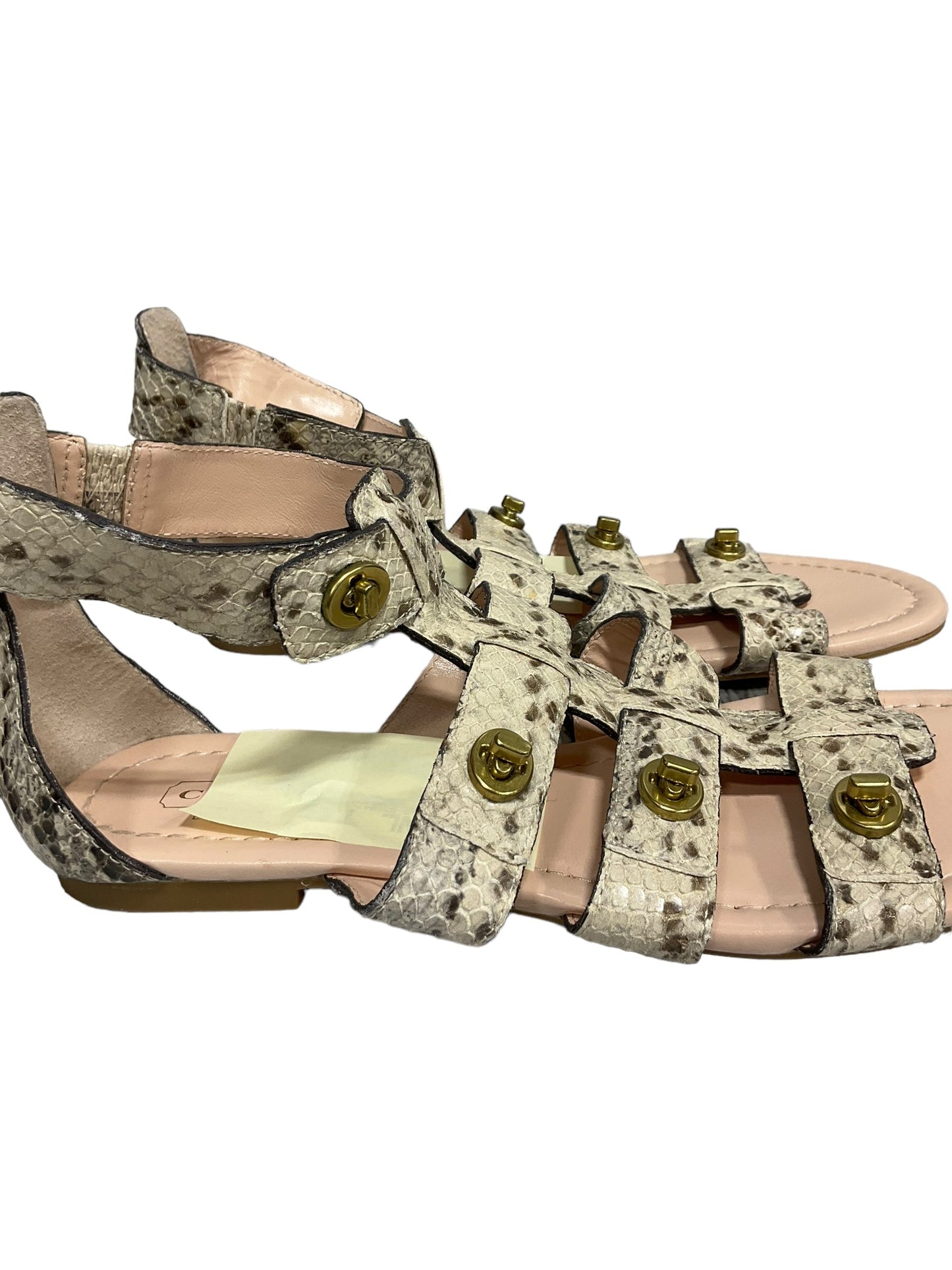 Snakeskin Print Sandals Flats Coach, Size 6