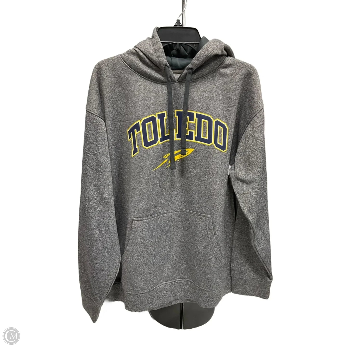 Athletic Top Long Sleeve Hoodie By Champion In Grey, Size: L