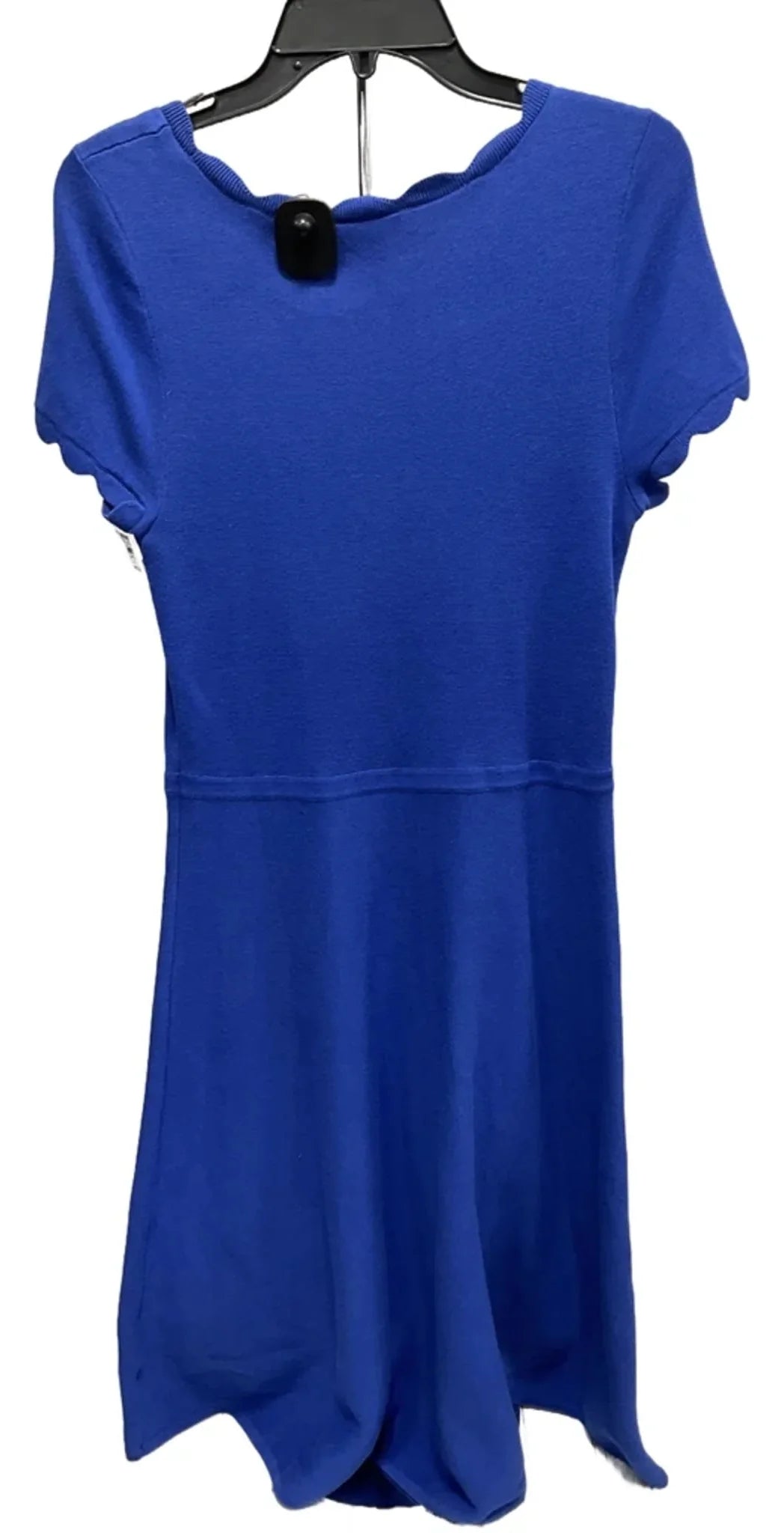 Dress Casual Short By Talbots In Blue, Size: M