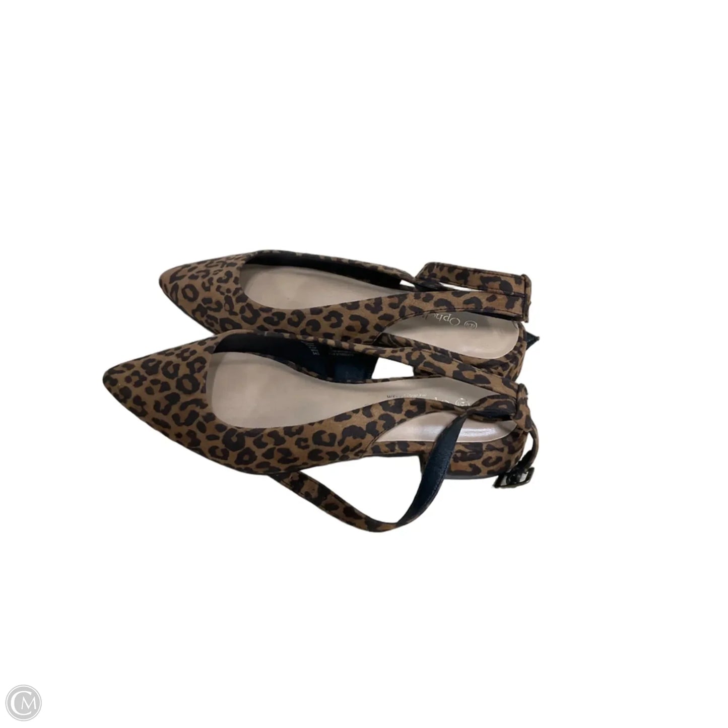 Shoes Heels Kitten By Ophelia Roe In Animal Print, Size: 6