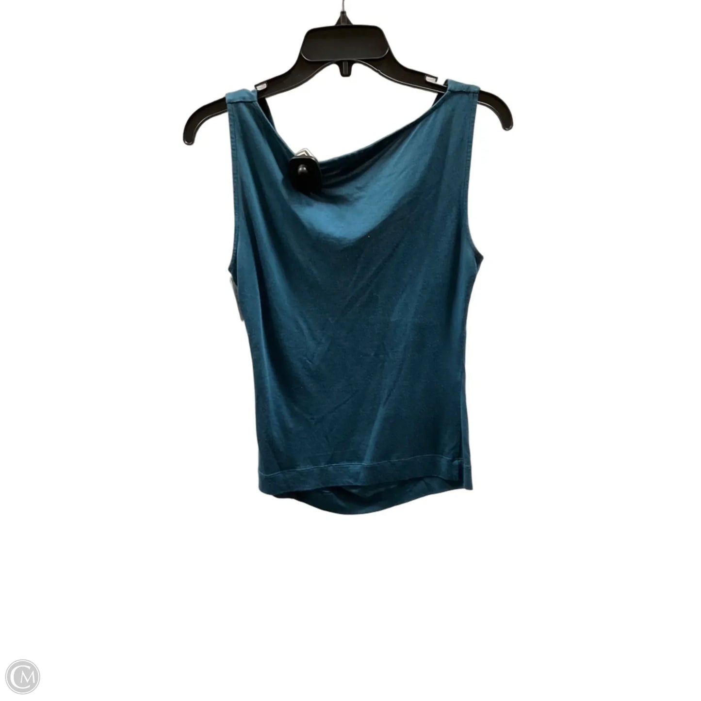 Top Sleeveless By Express In Blue, Size: M