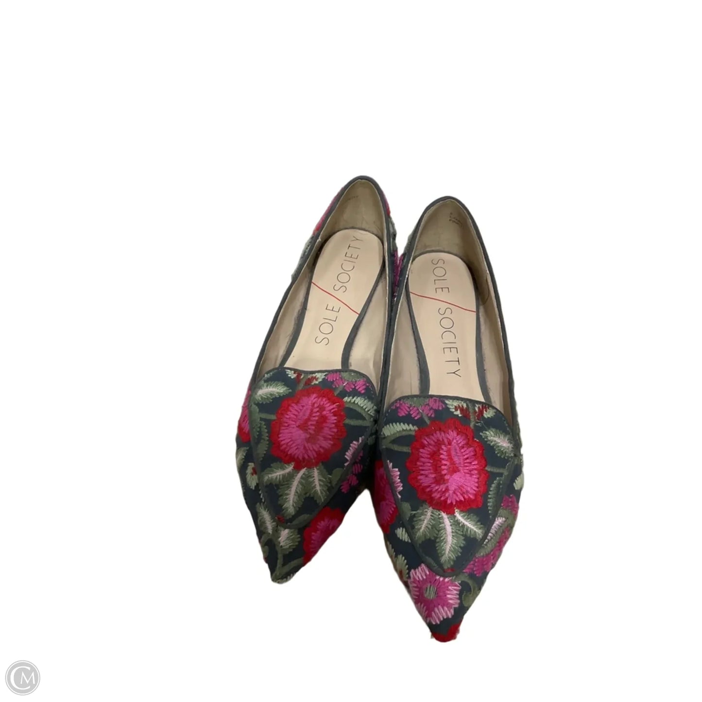 Shoes Flats By Sole Society In Floral Print, Size: 8