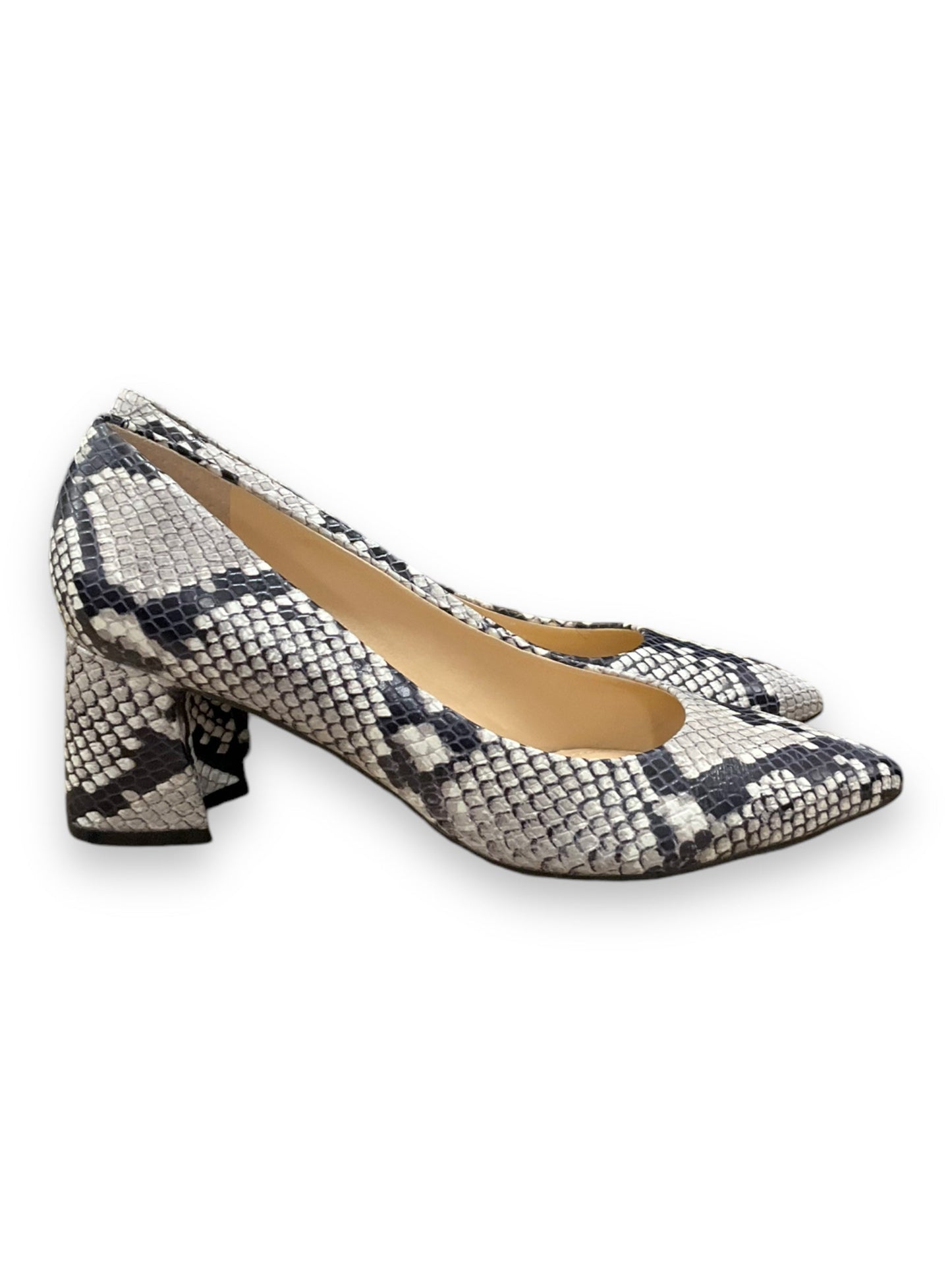 Shoes Heels Block By Marc Fisher In Snakeskin Print, Size: 7.5