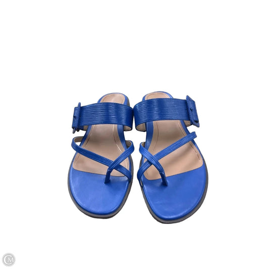 Sandals Flats By Vionic In Blue, Size: 10