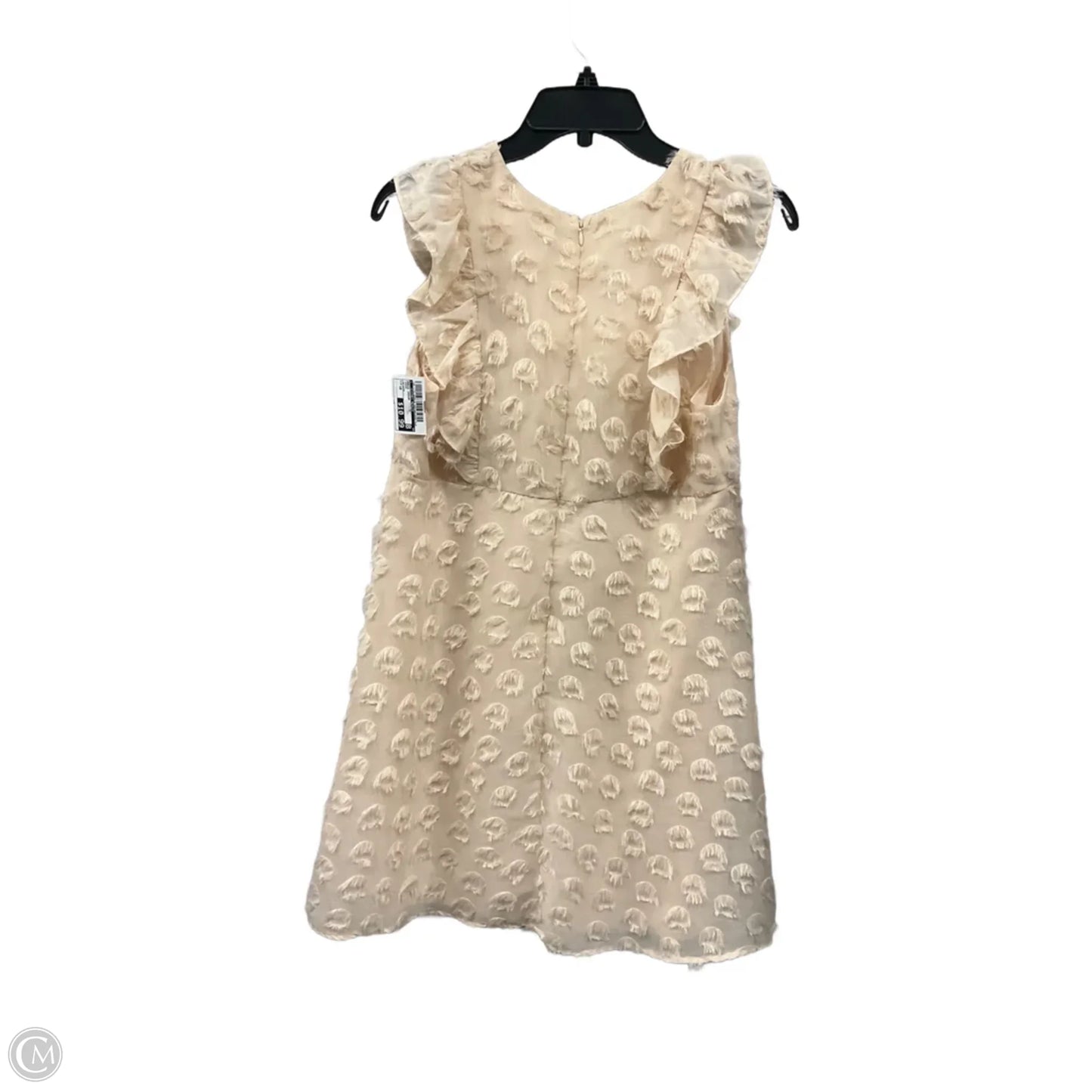Dress Casual Short By Clothes Mentor In Cream, Size: 10