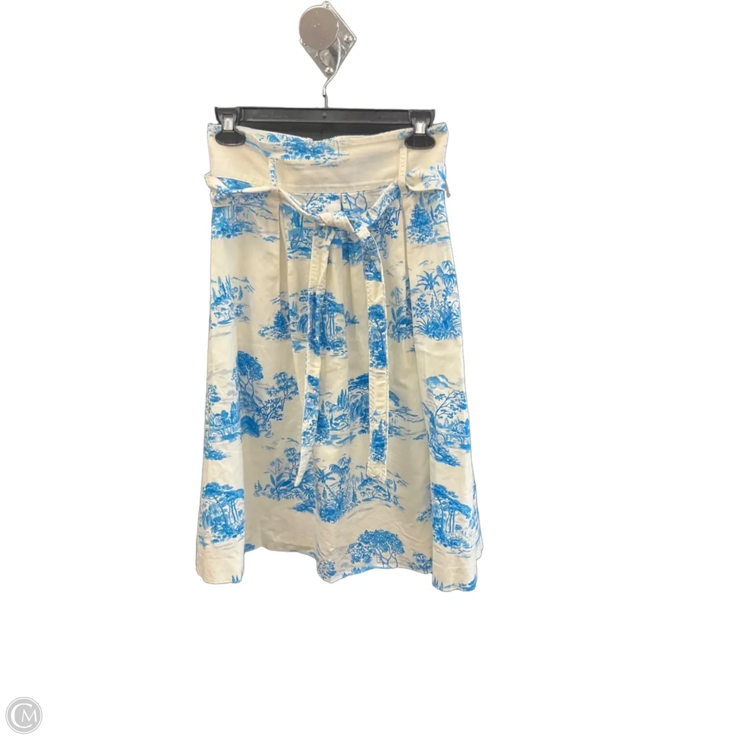 Skirt Maxi By Ann Taylor In White, Size: 0p