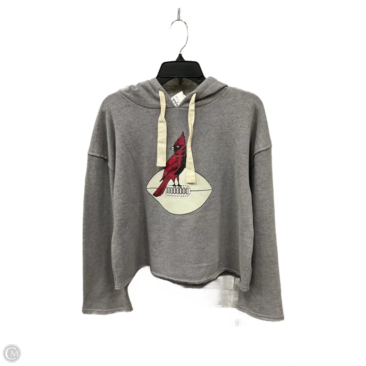 Sweatshirt Hoodie By Nfl In Grey, Size: S