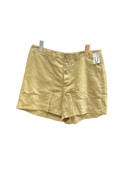 Olive Shorts Loft, Size 10