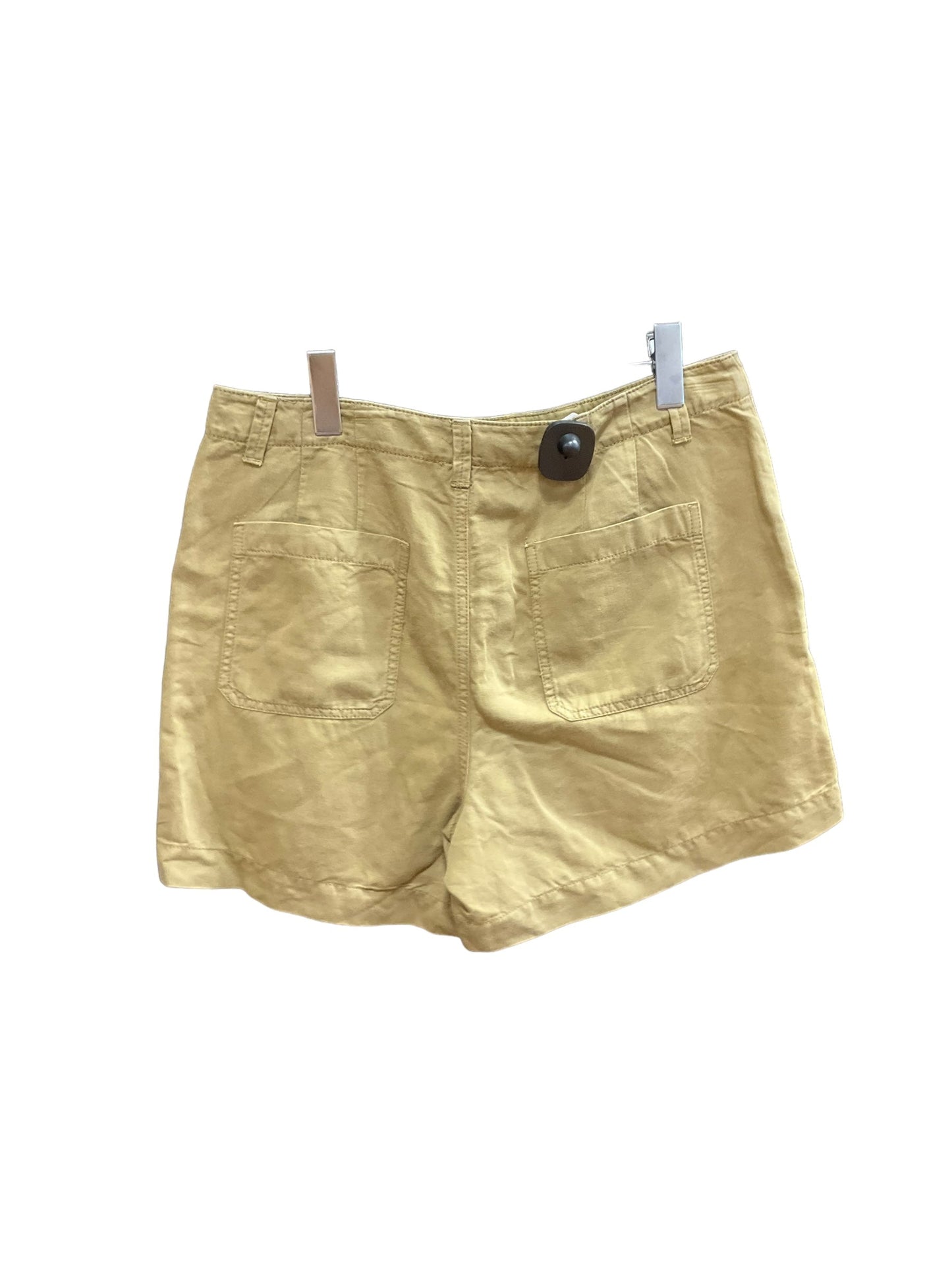 Olive Shorts Loft, Size 10