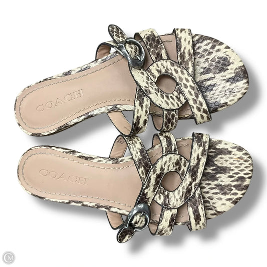Sandals Flats By Coach In Snakeskin Print, Size: 6.5