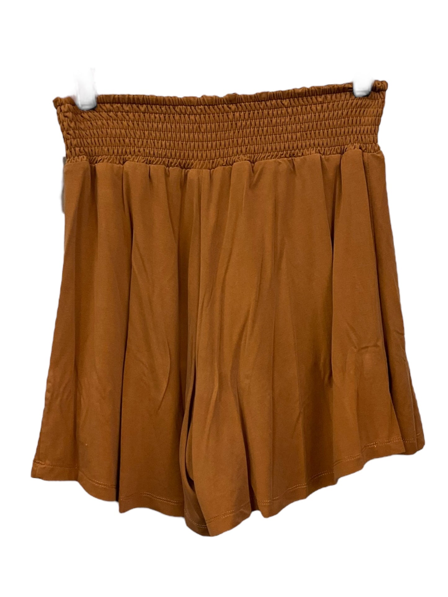 Brown Shorts Clothes Mentor, Size M