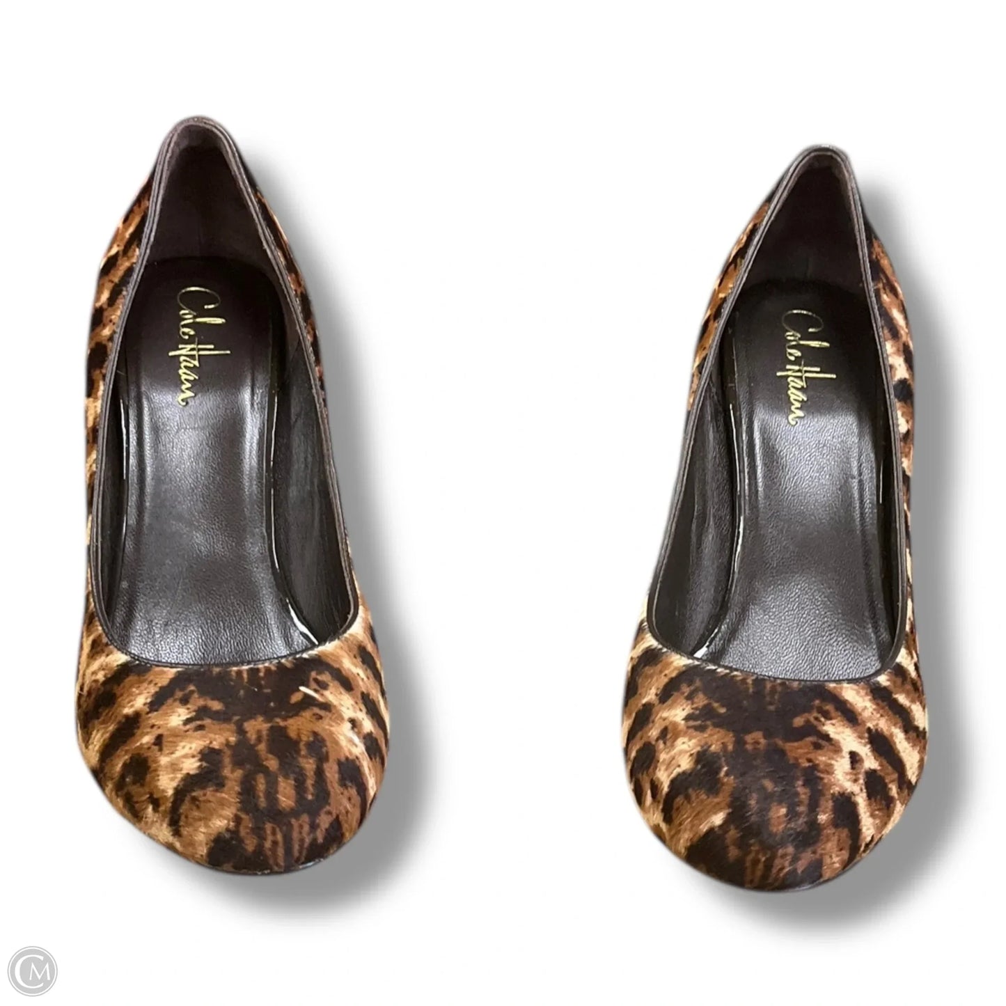 Shoes Heels Stiletto By Cole-haan In Animal Print, Size: 10