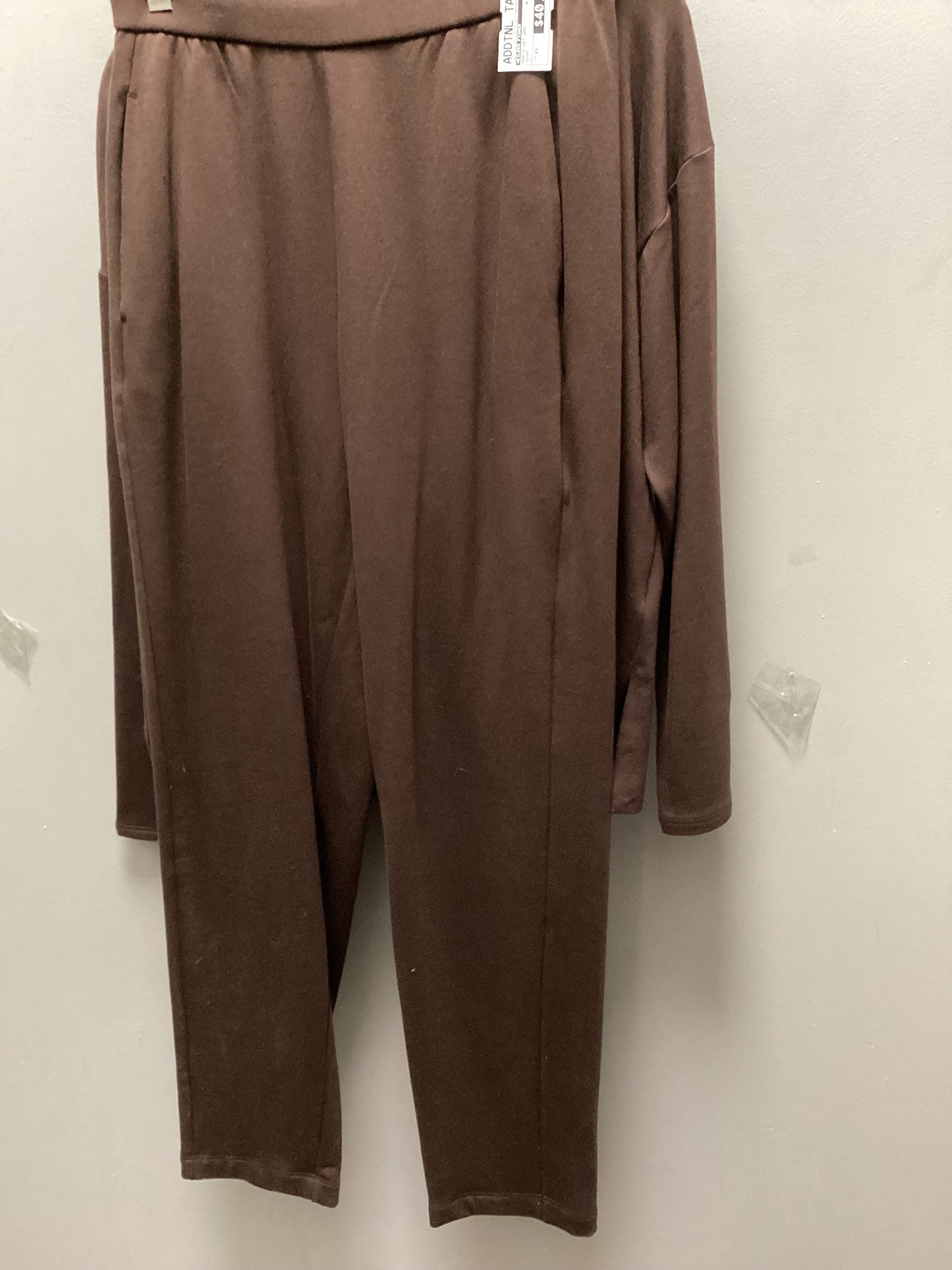 Pants Set 2pc By Eileen Fisher In Brown, Size: Xs