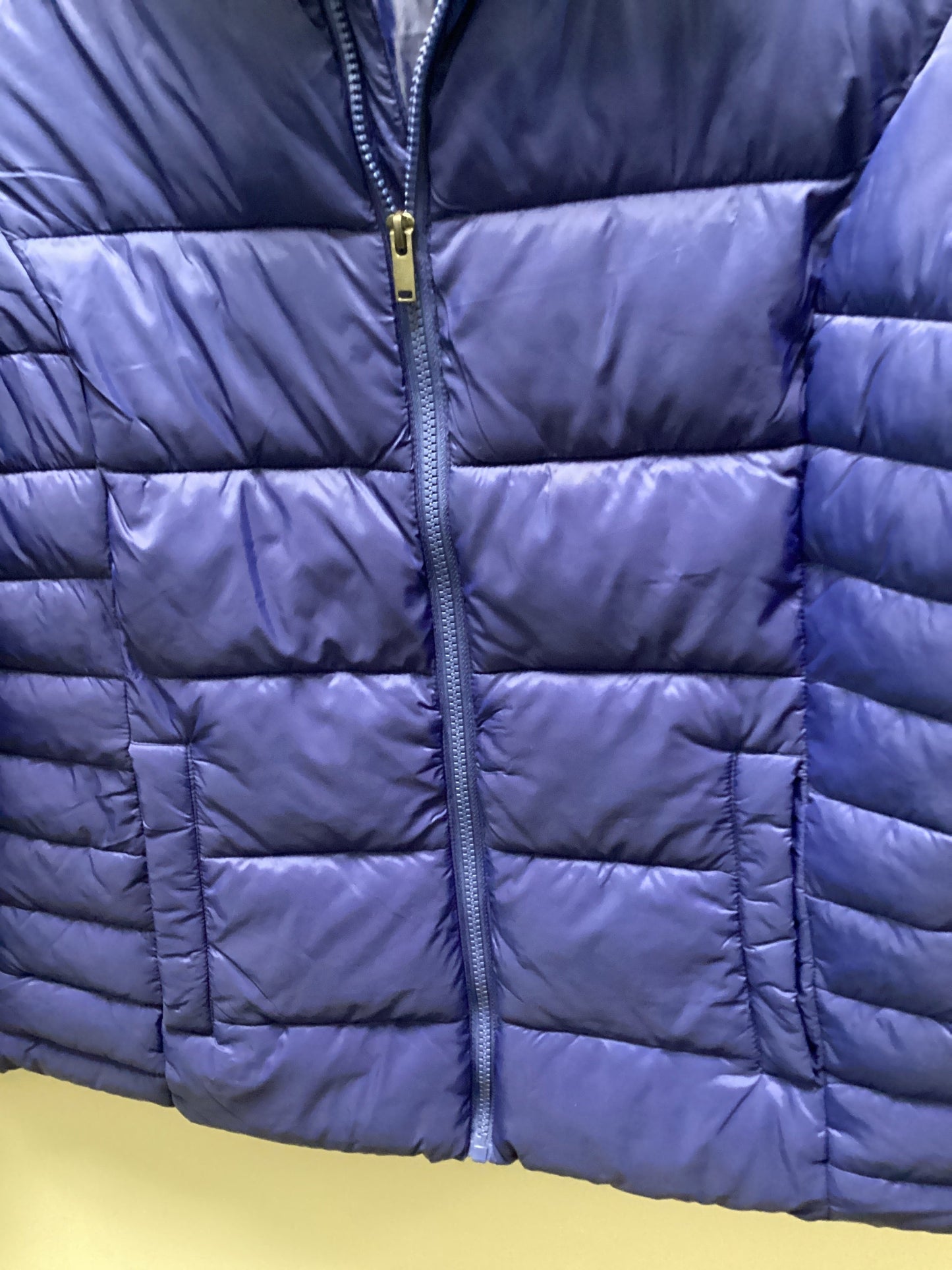 Coat Puffer & Quilted By Time And Tru In Blue, Size: L