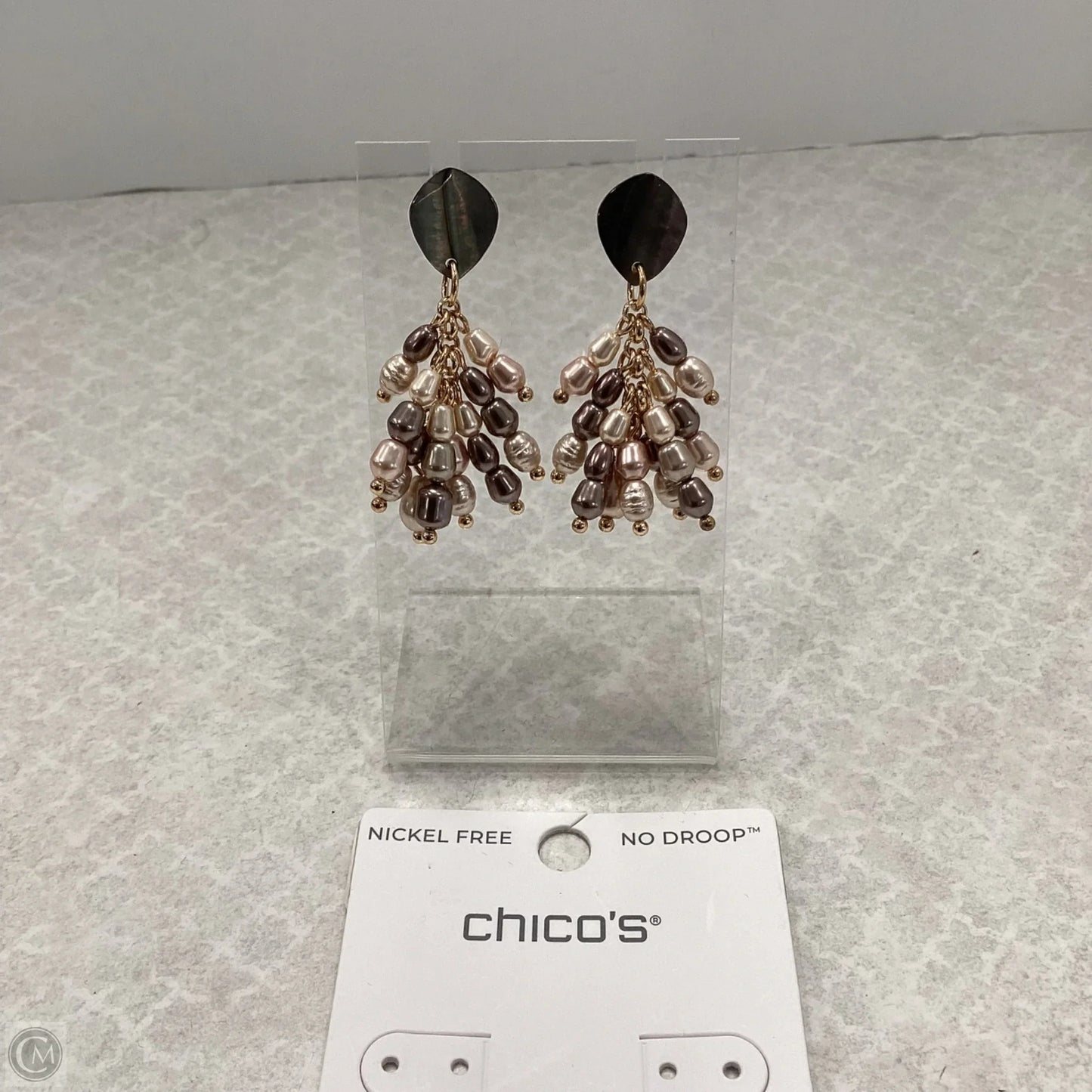 Earrings Dangle/drop By Chicos