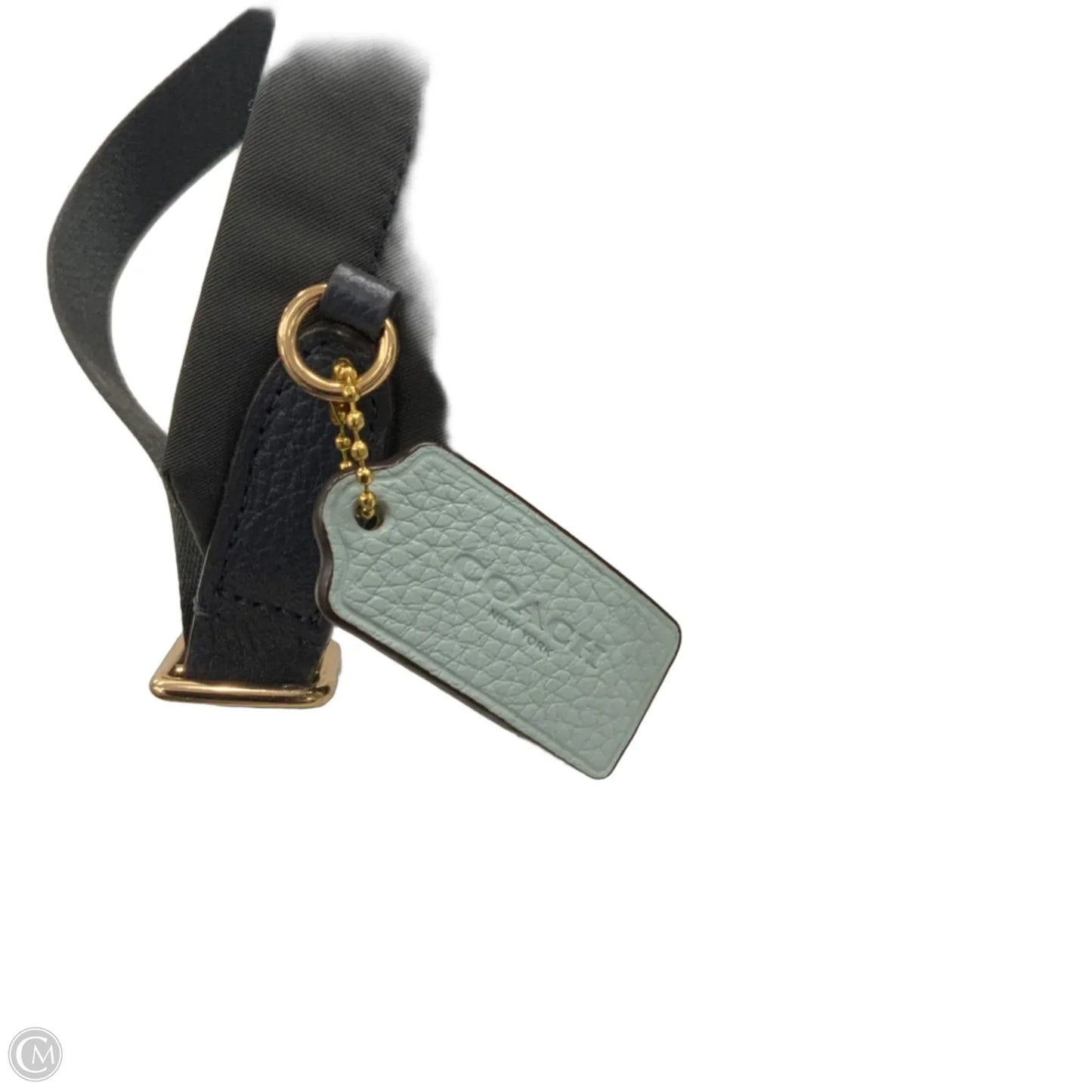 Backpack Designer By Coach, Size: Large